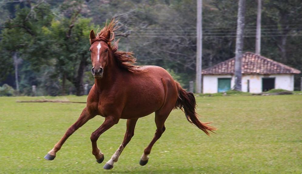 Fortuna Casas De Campo Сокорру Екстер'єр фото