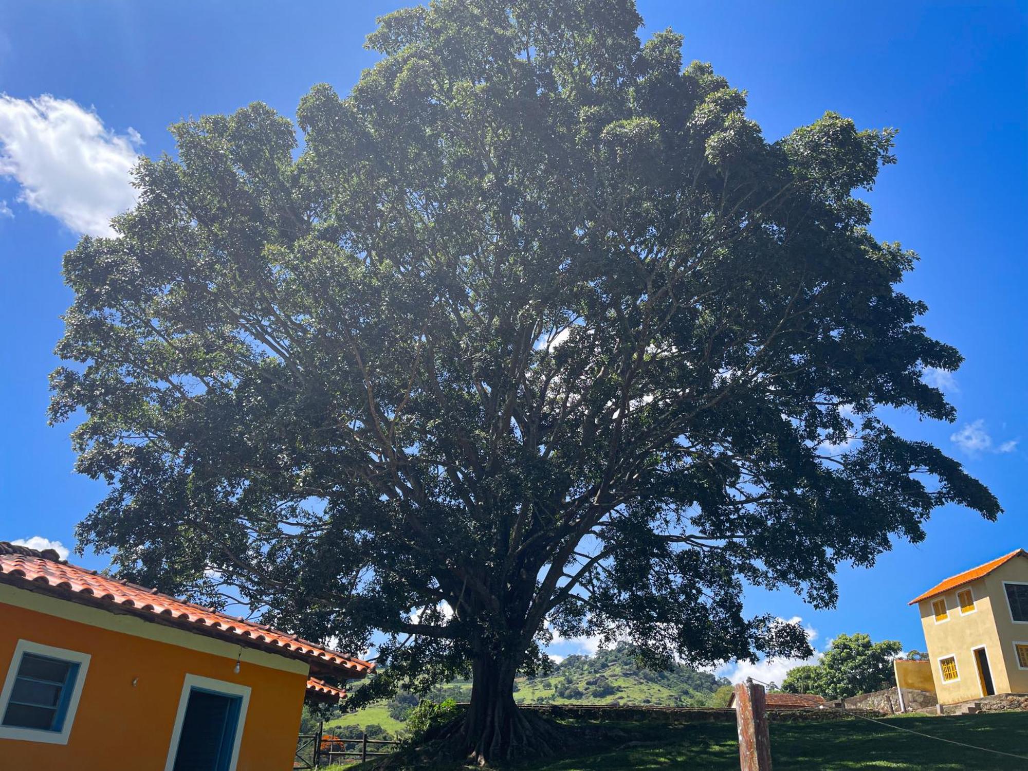 Fortuna Casas De Campo Сокорру Екстер'єр фото